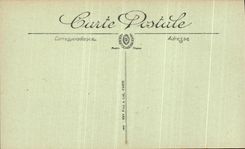 VINTAGE POSTCARD Pau the Castle