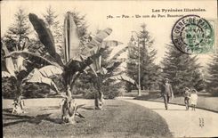 VINTAGE POSTCARD Pau a Corner of the Beaumont Park
