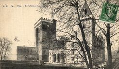 VINTAGE POSTCARD Pau the Castle Henri IV