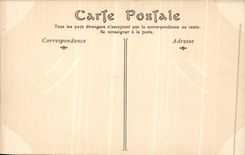 VINTAGE POSTCARD Thiers Cascades of Salliens Lavoir Lavender fields