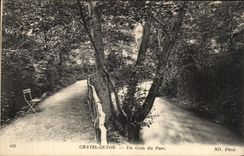 POSTAL Chatelguyon de la VENDIMIA una esquina del parque