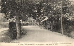 POSTAL Chatelguyon de la VENDIMIA un callejon del parque