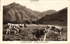 VINTAGE POSTCARD the Mount Gilds Landscape Valley D Enfer Cows