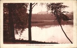 VINTAGE POSTCARD Pond De Hanau