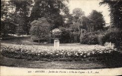 VINTAGE POSTCARD Angers Botanical garden L Island Of the Swans