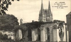 VINTAGE POSTCARD Angers the All Saints  day Ruins Seen from of L avenue David D Angers