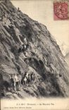 VINTAGE POSTCARD Chamonix the Bad Step Goats Goat
