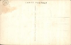 VINTAGE POSTCARD Chambery View and Nivolet