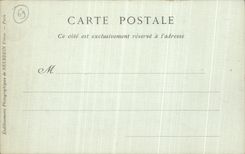 VINTAGE POSTCARD Lyon the Statue of the Rhone Town hall Neptune Lion