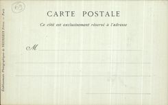 VINTAGE POSTCARD Lyon the Statue of the Saone Town hall Lion