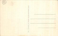 VINTAGE POSTCARD Lyon the City Seen De Fourviere