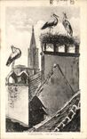 VINTAGE POSTCARD Strasbourg Nest of Storks