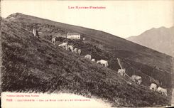 VINTAGE POSTCARD Cauterets Collar Riou and hotel trade