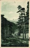 VINTAGE POSTCARD Cauterets Landscape in the Valley of Marcadau