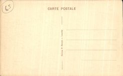 VINTAGE POSTCARD Betharram the Bridge of Ivy