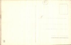 VINTAGE POSTCARD Road De Gavarnie Falls Of St Saver Napoleon Bridge