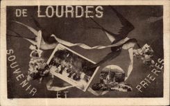 VINTAGE POSTCARD Heavy Of Remembering Swallow Bird