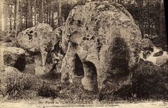 VINTAGE POSTCARD Drill of Fontainebleau L hippopotamus