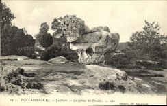 VINTAGE POSTCARD Fontainbleau the Drill the Sphinx of the druids