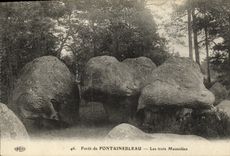 VINTAGE POSTCARD Fontainebleau Three Mausoleums