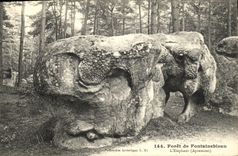 VINTAGE POSTCARD Fontainebleau Drill L Apremont elephant