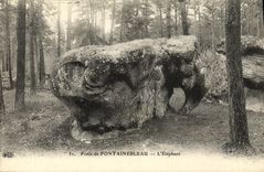 VINTAGE POSTCARD Fontainebleau Drill of L Elephant