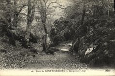 VINTAGE POSTCARD Fontainebleau Drill Falls with the Wolves