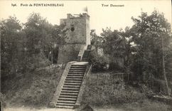 VINTAGE POSTCARD Fontainebleau Denecourt Turn