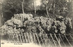 VINTAGE POSTCARD Fontainebleau Foret Rock Sponges