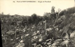 VINTAGE POSTCARD Fontainebleau Drill Falls of Franchard