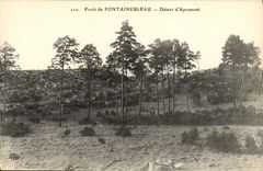 VINTAGE POSTCARD Fontainebleau Foret Serves D Apremont