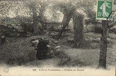 VINTAGE POSTCARD Fontainebleau Drill of Fountain of the Hermits