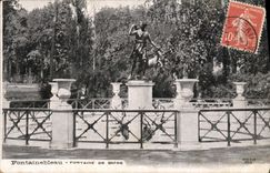 VINTAGE POSTCARD Fontainebleau Drill of Diane
