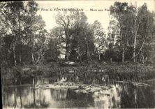 VINTAGE POSTCARD Drill of Fontainebleau Pond to the Fairies