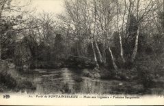 VINTAGE POSTCARD Drill of Fontainebleau Pond to the Members of a league Sanguinede Fountain