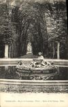 VINTAGE POSTCARD Versailles Basin of Spring Flora