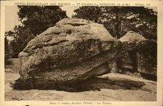 VINTAGE POSTCARD St Pierre Nemours the tortoise