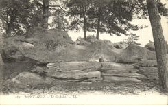 VINTAGE POSTCARD Acute Mount the Cachalot