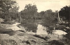 VINTAGE POSTCARD Palate of Fontainebleau Pond of Franchart