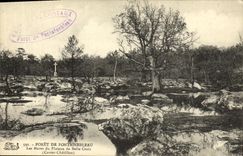VINTAGE POSTCARD Palate of Fontainebleau ponds of the plate of Beautiful Cross Chatillon Vat