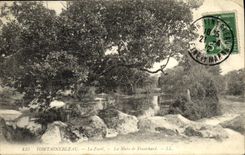 VINTAGE POSTCARD Palate of Fontainebleau the Drill the Pond of Franchard