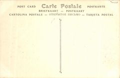 CPA Parc de Versailles Bassin d Apollon 