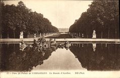 CPA Parc du Palais de Versailles Le Bassin d Apollon 