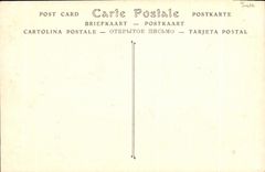 VINTAGE POSTCARD Park of the Palate of Versailles the Basin D Apollo