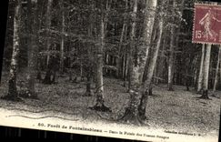 VINTAGE POSTCARD Drill De Fontainebleau In the Frontage of the Red Pits