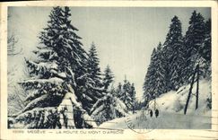 VINTAGE POSTCARD Megeve the Road Of the Mount D Alpine laburnum