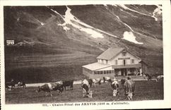 VINTAGE POSTCARD Country cottage Hotel of Aravis Cows