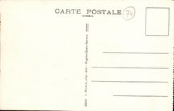 VINTAGE POSTCARD Collar of Aravis and Mont Blanc Cows