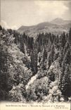 CPA Saint Gervais les Bains Cascade du Bonnant et le Mont joly