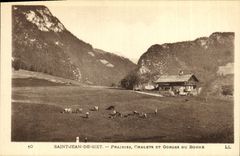 VINTAGE POSTCARD St Jean De Sixt Meadows country cottages and throats of the Terminal